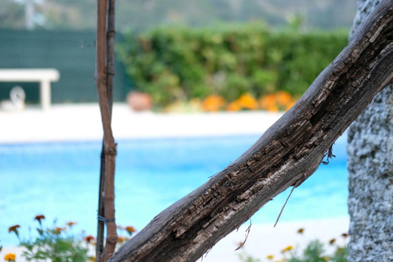 Casa Velha Villa Paradamonte Ngoại thất bức ảnh